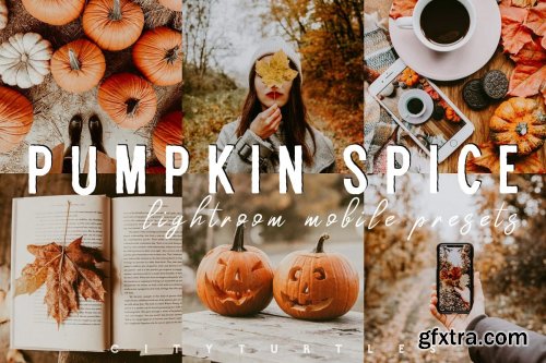 CreativeMarket - Moody PUMPKIN SPICE Mobile Presets 4156756