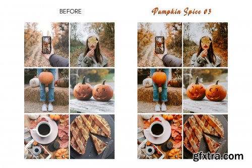 CreativeMarket - Moody PUMPKIN SPICE Mobile Presets 4156756