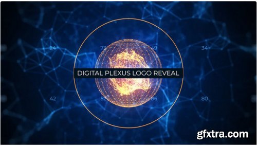 Digital Plexus Logo Reveal 305023