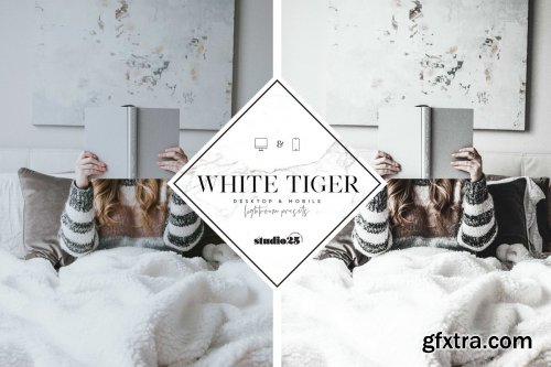 CreativeMarket - 5 Lightroom presets bundle 4169635