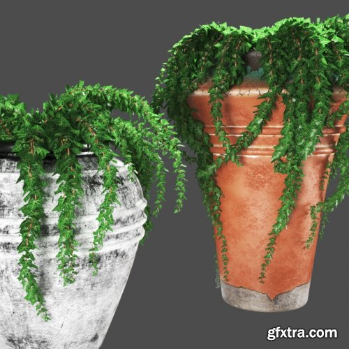 Ivy In Pots 3D MODEL