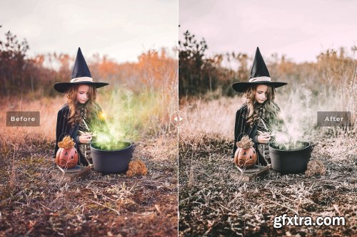 CreativeMarket - Halloween 2019 Lightroom Presets 4235808