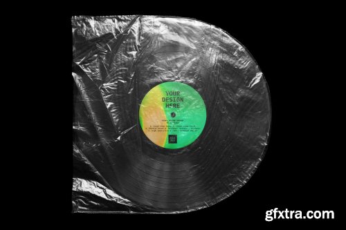 CreativeMarket - Vinyl Record Mockup 4250259