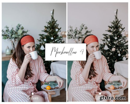 CreativeMarket - 10 WINTER LIGHTROOM PRESETS 4241462