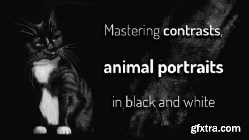 Mastering contrasts, animal portraits in black and white (Digital painting)