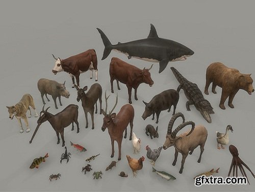 Animal Pack Deluxe