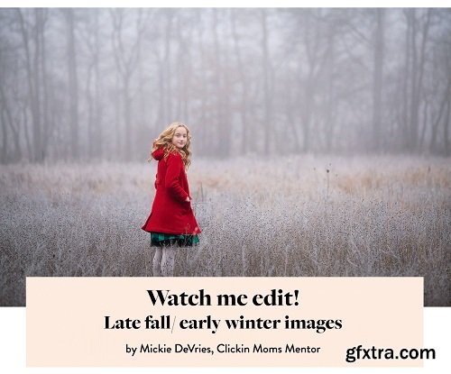 ClickinMoms November 2019 Perks (Photographing the Holidays E-Guide, Winter Editing Video)