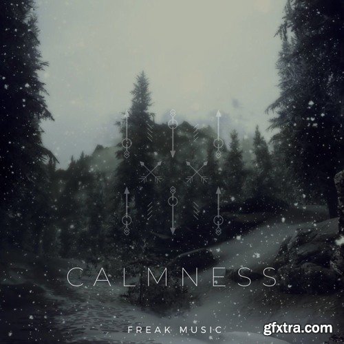 Freak Music Calmness WAV MiDi Presets-AwZ