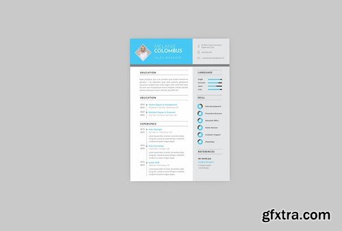 Sales Manager Resume Designer