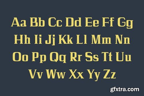 CM - Calvin Slab Serif Font Family 4273190