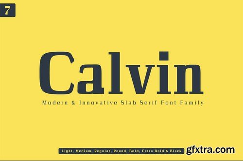 CM - Calvin Slab Serif Font Family 4273190