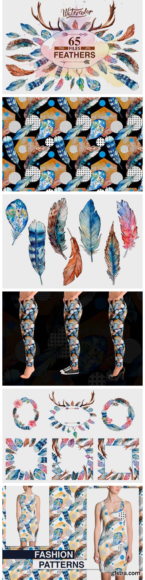 Feather PNG Watercolor Bird Set 1980570