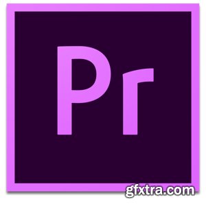 Adobe   Premiere Pro 2020   v14.0.0.572