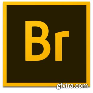 Adobe Bridge 2020 v10.0.0.124