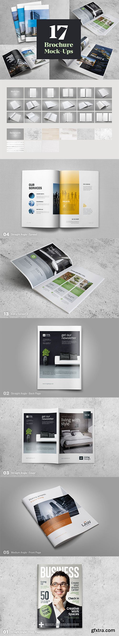 17 Brochure Mock-Ups