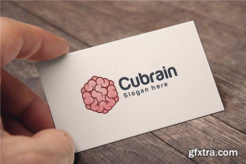 Hexagon - Cubic Brain Logo