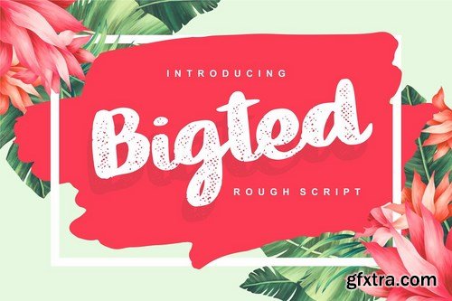 CM - Bigted Rough Script Font 4271762