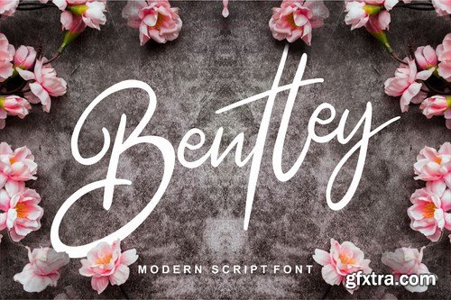 Bentley Modern Script Font