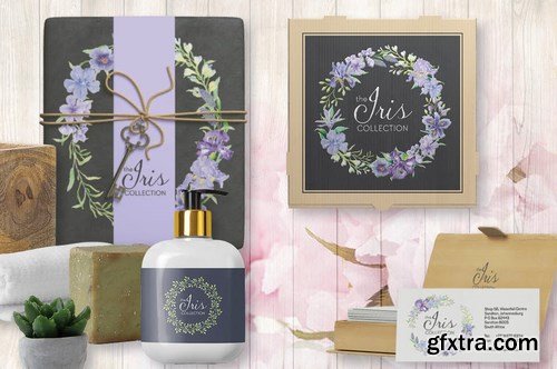 The Iris Collection Watercolor Clip Art Bundle