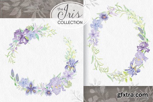 The Iris Collection Watercolor Clip Art Bundle