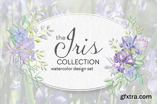 The Iris Collection Watercolor Clip Art Bundle