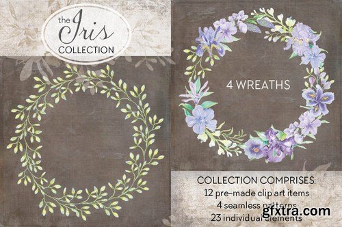 The Iris Collection Watercolor Clip Art Bundle