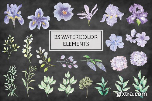 The Iris Collection Watercolor Clip Art Bundle