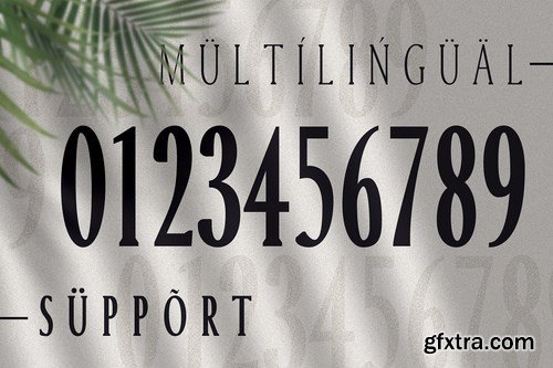 CM - Margrite - Tall Serif Font Family 4285075