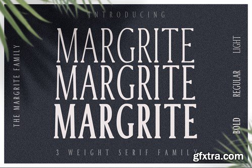 CM - Margrite - Tall Serif Font Family 4285075