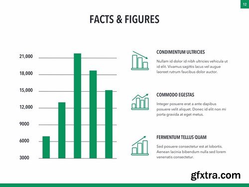 Country Saudi Arabia PowerPoint and Google Slide Templates