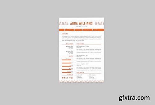 Business Director Resume Designer