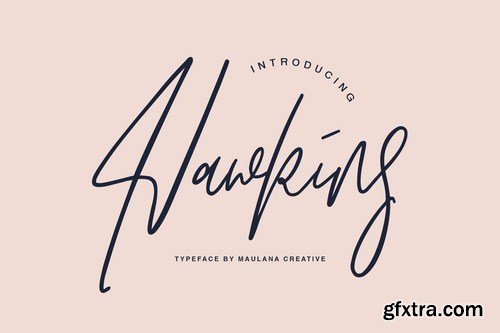 Hawkins Signature Brush Font