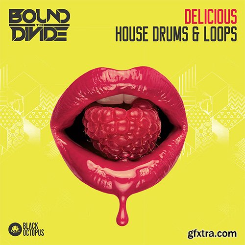 Black Octopus Sound Delicious House Drums and Loops WAV-DECiBEL