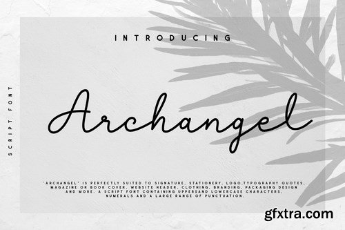 Archangel Monoline Script Font