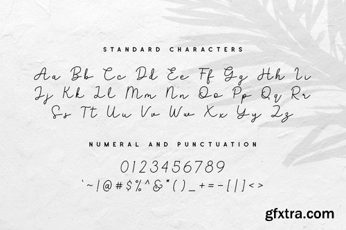 Archangel Monoline Script Font