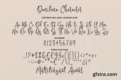 Danilena - Modern Script Font