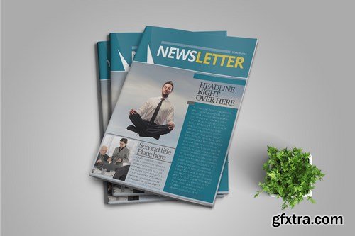 InDesign Newsletter Template