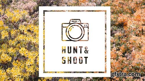 Hunt & Shoot: Pattern and Texture Photography