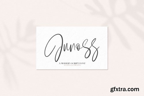 Junos Ridge - Handwritten Brush Font