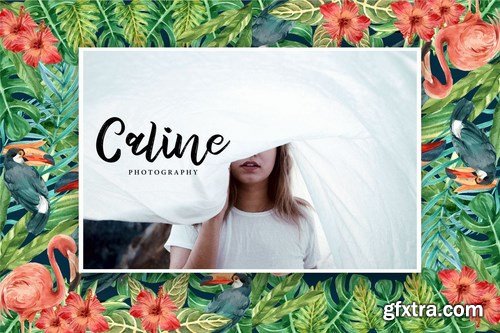 Hamble Modern Style Script Font