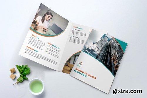 Bifold Brochure