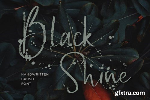 CM - Black Shine Handwritten Script Brush Font 4301005