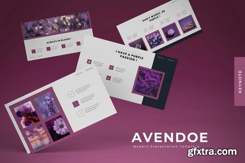 Avendoe - Powerpoint Google Slides and Keynote Templates