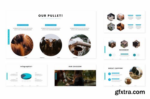 Farminge - Powerpoint Google Slides and Keynote Templates