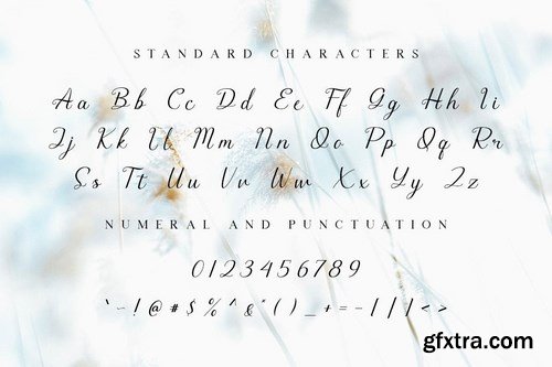 Morgana - Signature Script Font