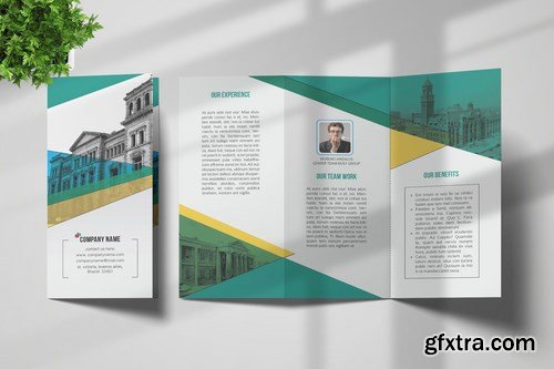 Trifold Brochure Template 2