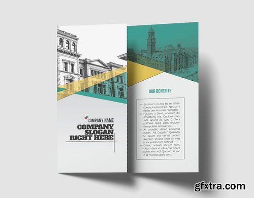 Trifold Brochure Template 2