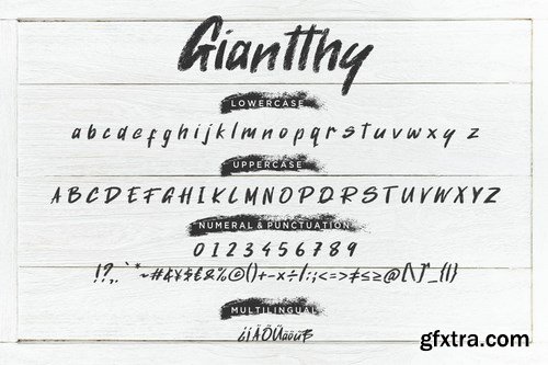 Giantthy Handdrawn Stylish Brush