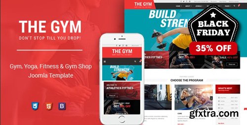 ThemeForest - TheGym v1.0.0 - Yoga, Fitness & Accessories Shop Joomla Template - 23782988