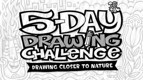 Lynda - 5-Day Drawing Challenge: Drawing Closer to Nature - 365281